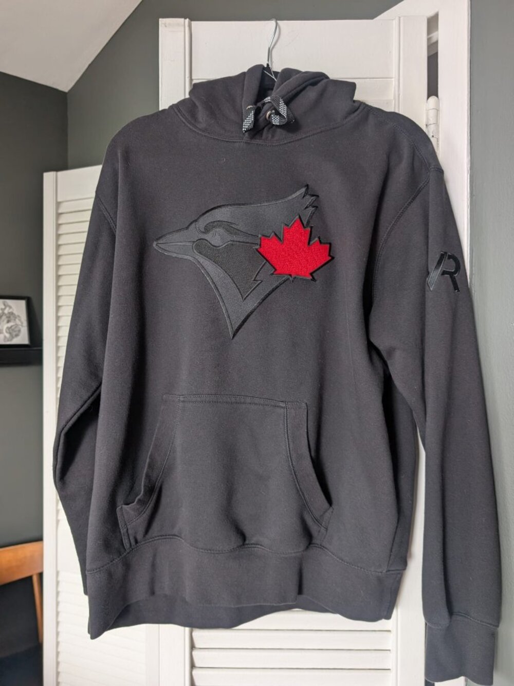 ✨ RARE FIND! ✨ Toronto Blue Jays Rogers Centre Pullover Hoodie (Men's Large)